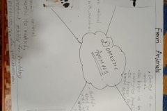 Std 2 Evs project
